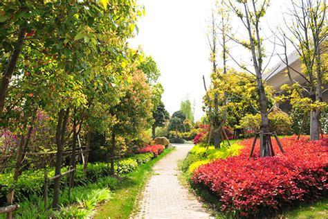 绿化施工和养护,花卉苗木种植和销售-上海加缘园林绿化工程